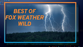 Best of FOX Weather Wild thumbnail