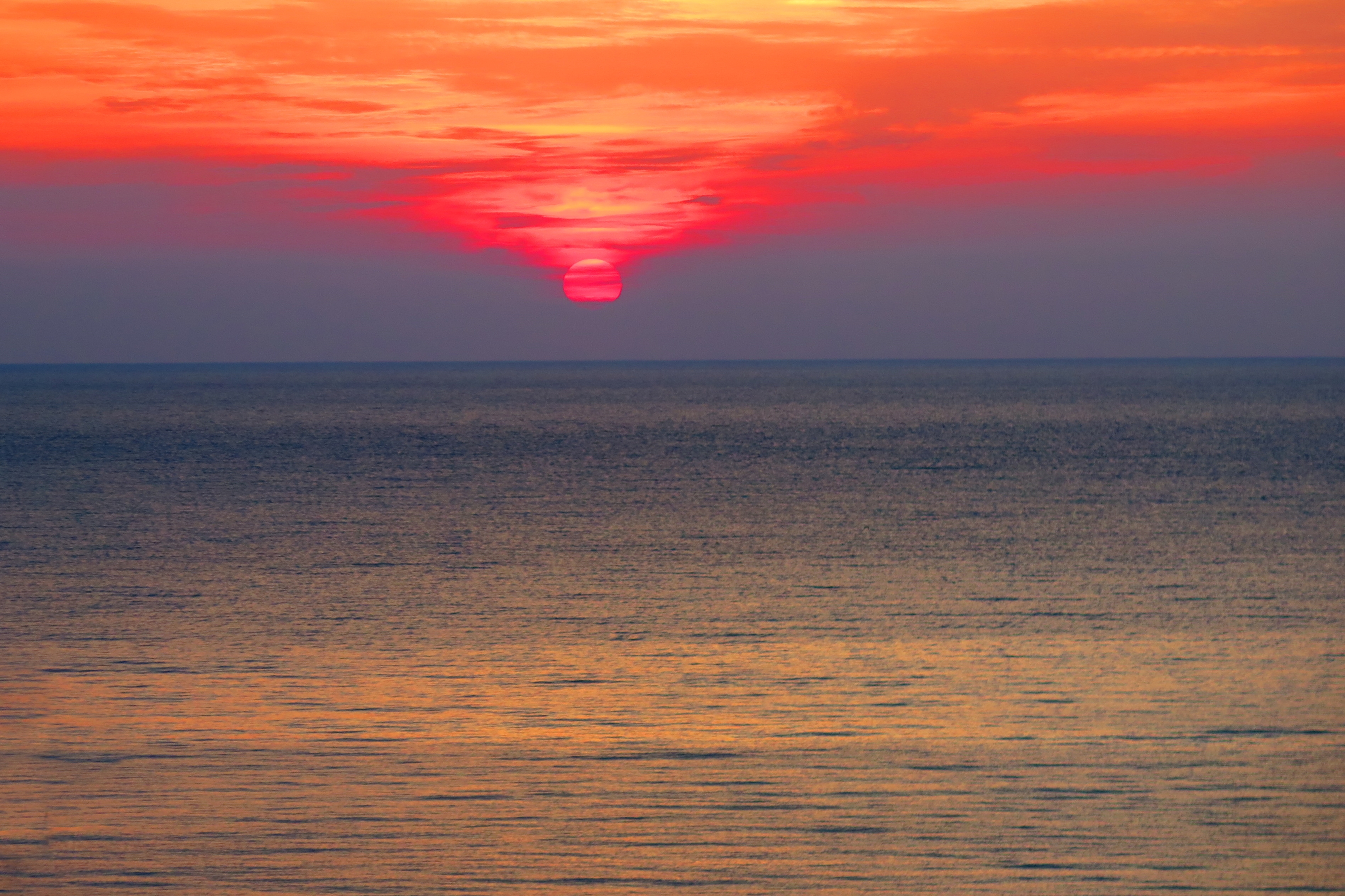 alba del cuore rosso di malte