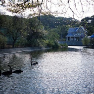 台灣山豬城