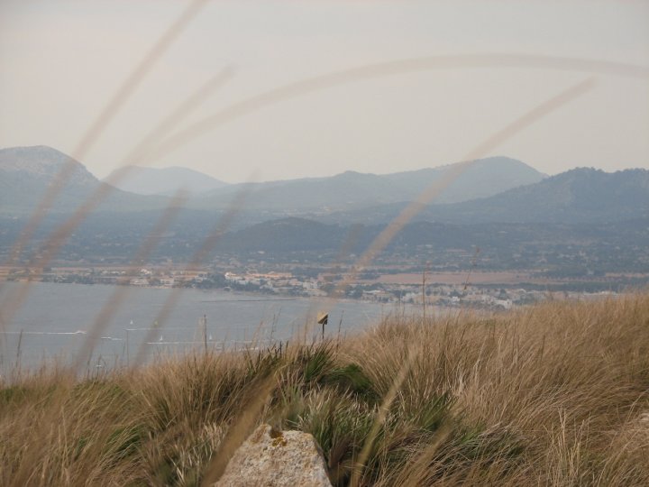 lontani col vento di mauri33