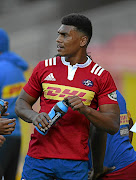 Stormers flyhalf Damian Willemse.