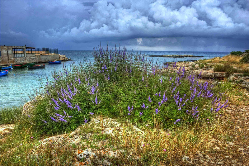 Arriva la pioggia a cala Fetente di Pinco_Pallino