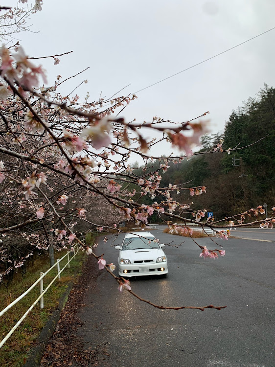 レガシィツーリングワゴンの小原の四季桜・桜とコラボに関するカスタム事例の投稿画像5枚目