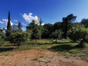 terrain à Lorgues (83)