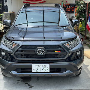 RAV4 MXAA54