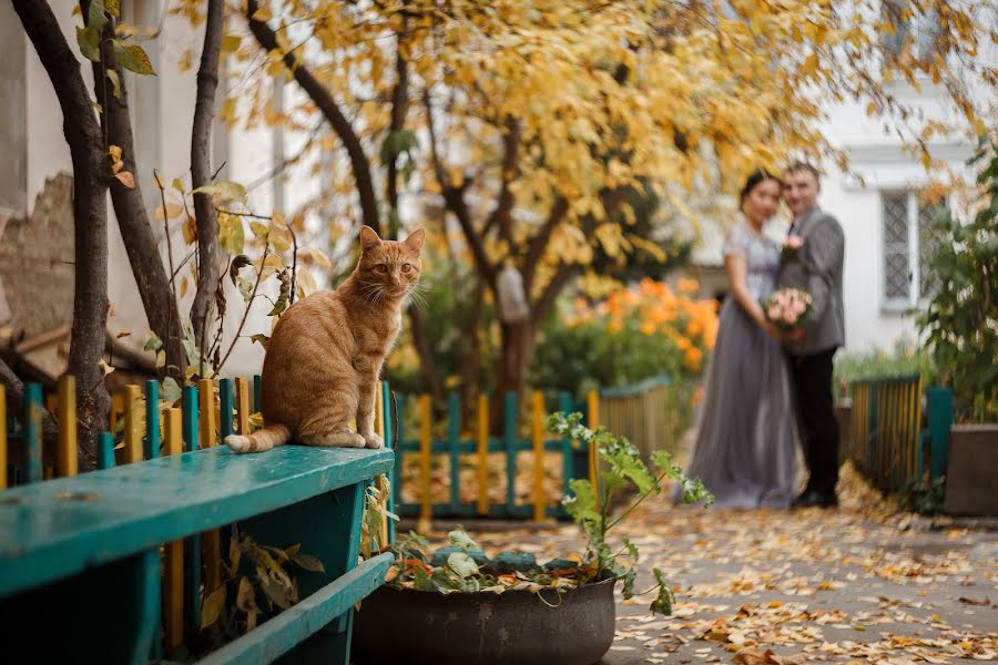 Свадебный фотограф Айдын Седип (toshinari). Фотография от 28 сентября 2018