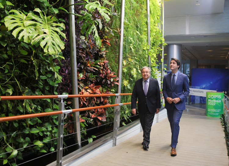 Canada's Prime Minister Justin Trudeau and Secretary-General of the United Nations, Antonio Guterres arrive to attend a bilateral meeting during COP15, the two-week U.N. Biodiversity summit, in Montreal, Quebec, Canada December 7 2022. Picture: REUTERS/CHRISTINNE MUSCHI