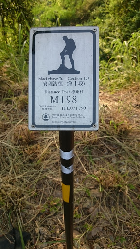 麥理浩徑(第十段)M198