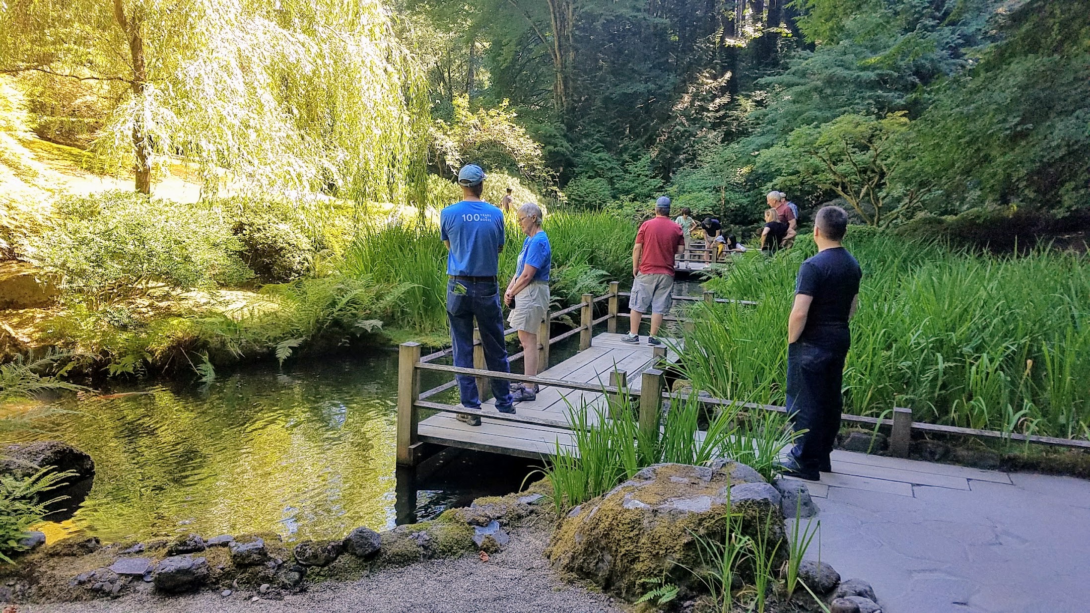 Visiting the Portland Japanese Garden - Strolling Pond Gardens. Area with the Koi.