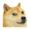 Item logo image for Doge Pattern