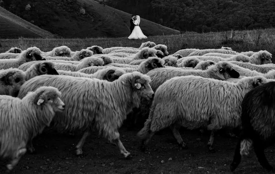 Fotograful de nuntă Cosmin Vlad (cosminvlad). Fotografia din 10 mai