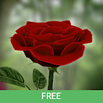 Cover Image of Unduh Wallpaper Animasi Mawar 3D Lite 5.5 APK