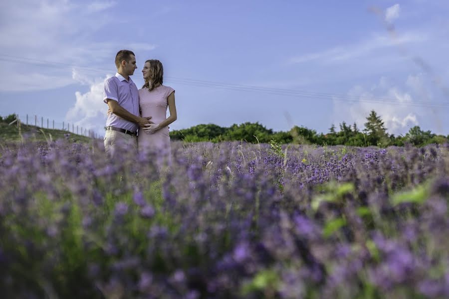 Svatební fotograf Csaba Szalai (szalaicsabafoto). Fotografie z 25.února 2019