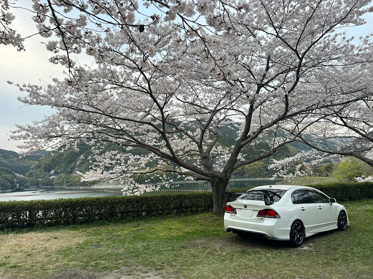シビックタイプRのサクラと愛車・FD2シビックタイプRに関するカスタム事例の投稿画像2枚目