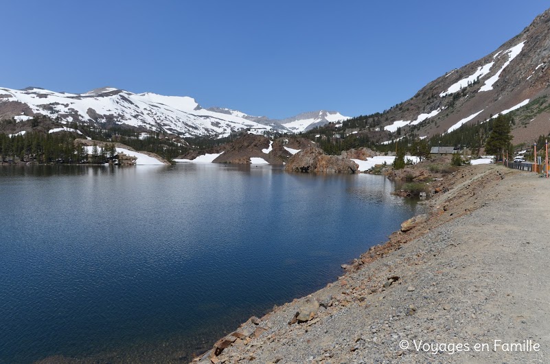 Ellery lake yosemite