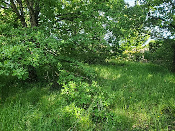 terrain à Fonsorbes (31)