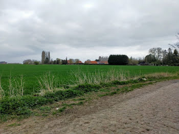 terrain à Avesnes-le-Sec (59)