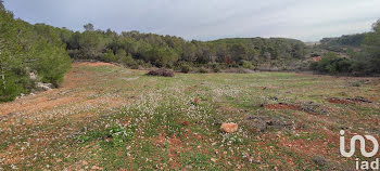 terrain à Cébazan (34)