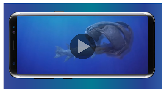 World of Fish - náhled