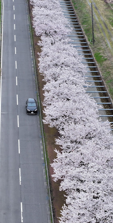 NXの桜と愛車・ホイール交換・DJI Mavic３　Proに関するカスタム事例の投稿画像2枚目