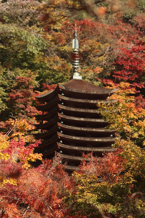 天下上人😎さんが投稿した紅葉🍁・談山神社に関するカスタム事例の投稿画像12枚目