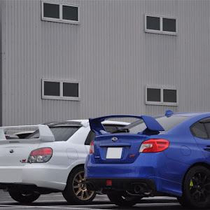 WRX STI