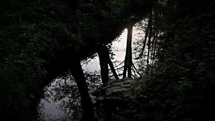 Un tramonto sulle sponde del torrente.... di Flavia Cantini PH