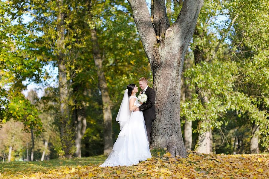 Photographer sa kasal Irina Shivilko (irinashivilko). Larawan ni 27 Nobyembre 2013