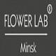 Download Магазин цветов в Минске Flower Lab For PC Windows and Mac 1.0