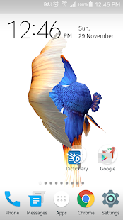 Betta Fish 3D(圖3)-速報App
