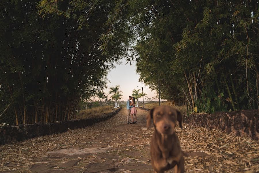 Düğün fotoğrafçısı Bruno Borges (brunoborges). 3 Ekim 2018 fotoları