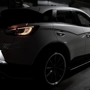 CX-3 DKEFW