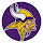 Minnesota Vikings New Tab