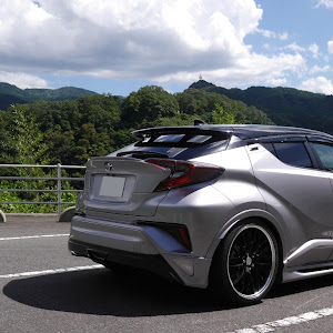 C-HR NGX50