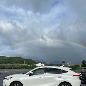 ハリアー AXUH80