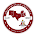 The SWP Diamond icon