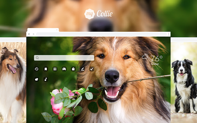 My Collie HD Dog Wallpapers New Tab Theme