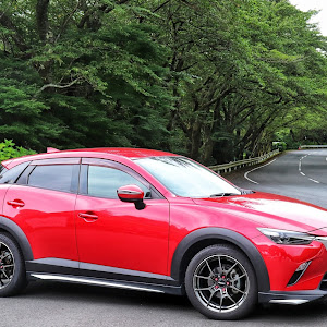 CX-3 DK5FW