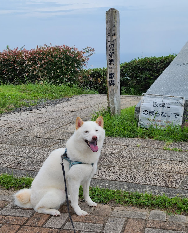 の投稿画像28枚目