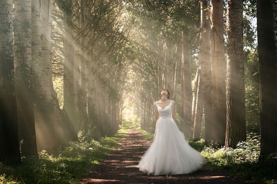 Fotógrafo de bodas Aleksey Petrenko (petrenko). Foto del 13 de enero 2019