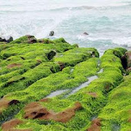 綠石槽漁夫海鮮餐廳