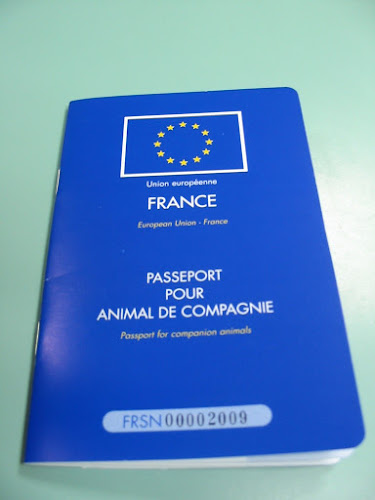 passeport d'identification