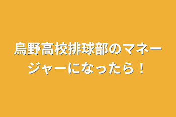 烏野高校排球部のマネージャーになったら！