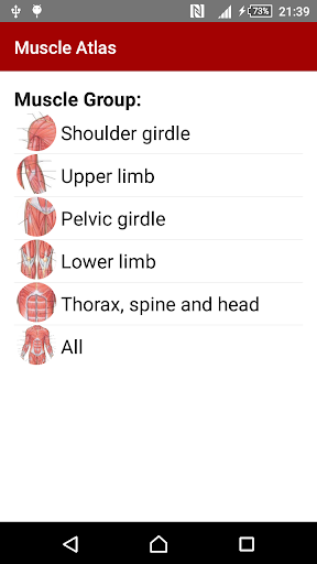 Anatomy: Atlas of Muscles