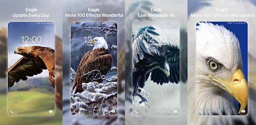 Eagles Live Wallpaper 4k Aplikasi Di Google Play
