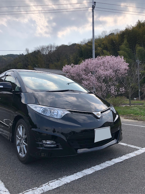 エスティマの洗車・ヌルテカに関するカスタム事例の投稿画像1枚目