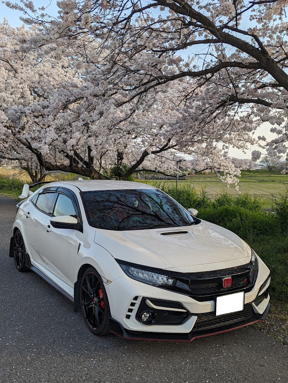 シビックタイプRのサクラと愛車に関するカスタム事例の投稿画像1枚目