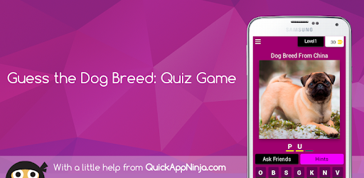 Quiz Diva Dog Breed Quiz Answers - quiz diva roblox quiz 5 ways to get free robux