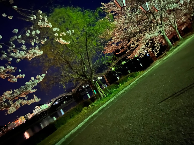 ば〜やんさんが投稿した夜桜・錦帯橋夜桜に関するカスタム事例の投稿画像1枚目