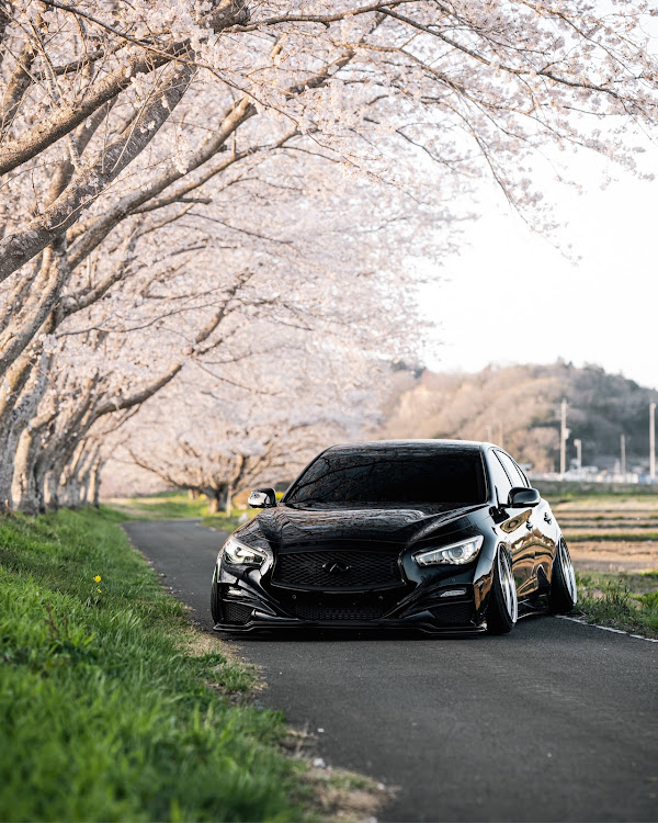 スカイラインのスカイライン・エアサス・桜と愛車・桜・かっこいいに関するカスタム事例の投稿画像2枚目